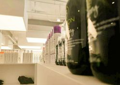 -Hair  Gallery