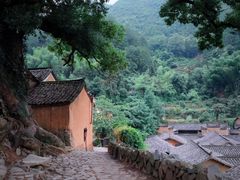 -杨家堂村