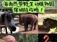 -海南热带野生动植物园