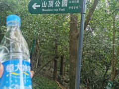 -紫金山山顶公园