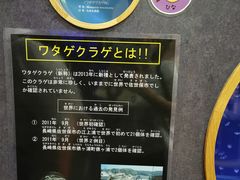 -西海国立公园九十九岛水族馆