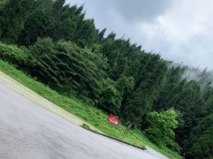 -武陵山森林公园