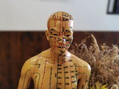 -沐善人家中医·推拿·理疗·三伏灸(新洲店)