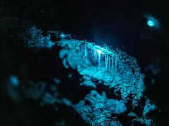 -怀托摩萤火虫洞