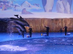 -华夏文旅海洋公园