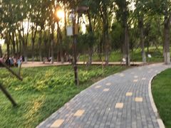 -回龙观体育文化公园