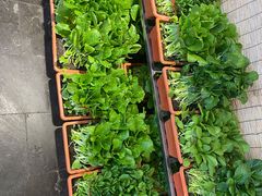 -聚缘堂·海鲜私房菜(松岭路店)