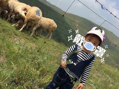 -张北坝上草原