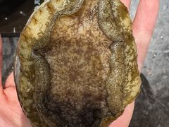 -川骄海鲜自助(河东店)
