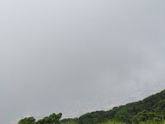 -梧桐山风景名胜区