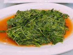 -嘉逸传菜(洛川东路店)