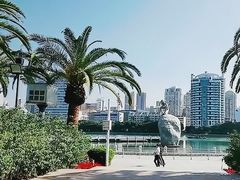 -白鹭洲公园
