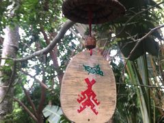 -呀诺达热带雨林