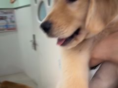 -佳雯宠物医院·皮肤科·内外科(春晓路分院)