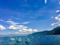 -抚仙湖禄充风景区