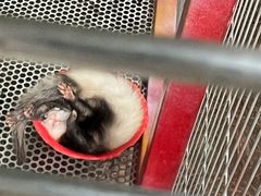 -王府井奥莱棋盘山小镇