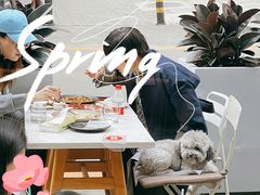 -the rug 飞毯 (朝阳公园店)