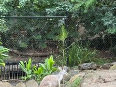 -可伦宾野生动物保护区