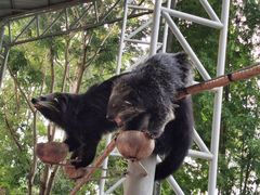 -清迈夜间动物园