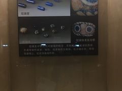 -鸿山遗址博物馆