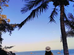 -那琴半岛地质海洋公园