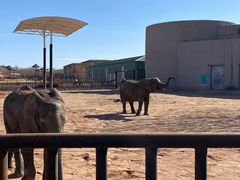 -鄂尔多斯野生动物园