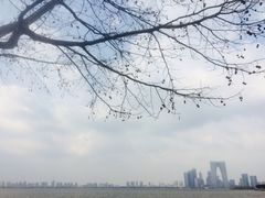 -金鸡湖景区