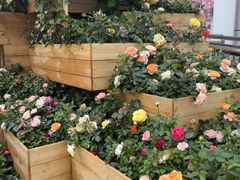 -人民公园(罗湖区)