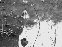 -四川大学(华西校区)