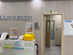 -瑞鹏宠物医院·骨外科·心肾科·肿瘤科(九亭店)