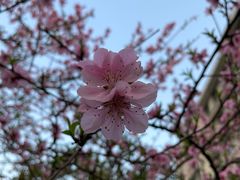 -中南财经政法大学(首义校区)