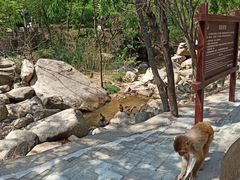 -洛阳花果山景区
