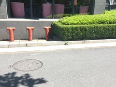 -杭州口腔医院(城西院区)