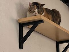 -隅cafe(傅厚岗店)