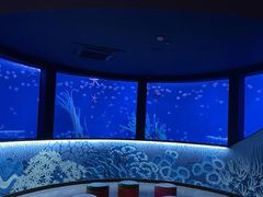 -沈阳海洋探索中心