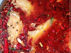 -张戈渝乡耗儿鱼美蛙火锅店(广福店)