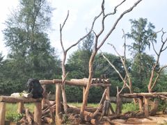 -海南热带野生动植物园