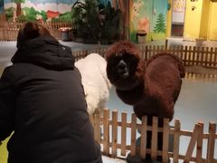 -巴克创奇梦工厂