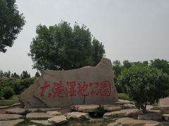 -大港湿地公园