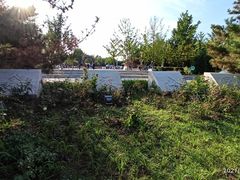 -大兴滨河森林公园