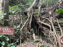 -七仙岭温泉国家森林公园