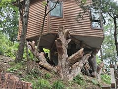 -塔云山