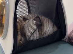 -美联众合动物医院·24h京西诊疗中心