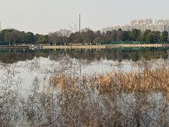 -金沙湖公园
