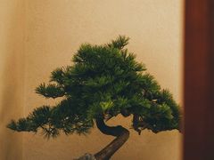 -福院