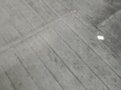 -古南都·老广东酒楼(龙江店)