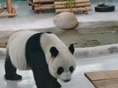 -柳州市动物园
