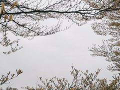 -四海公园(南山区)