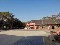 -大湾区中央湿地公园