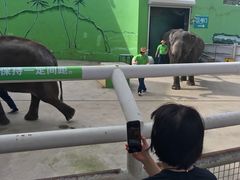 -大连森林动物园